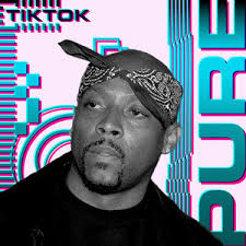 TikTok Hits 2025 by Pure