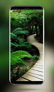 Fantasy wallpapers, background,photos and images of fantasy for desktop windows 10 macos, apple iphone and android mobile. Green Nature Hd Wallpapers 4k Hd Wallpapers For Android Apk Download