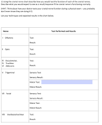 In some cases, our patients are recommended to use a vagus nerve stimulator between prolotherapy treatments. Cranial Nerves Twelve Cranial Nerves Leave The Chegg Com