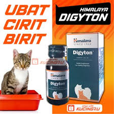 Bagi yang pertama kali bawa kucing ke klinik haiwan, mesti nak tahu harga perkhidmatan atau harga ubat. Bronsyp Syrup Ubat Kucing Batuk Flu Selsema Demam 100ml Berkesan Selamat Shopee Malaysia