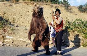Файл:Dancing bear in Bulgaria about 1970 1.jpg — Википедия