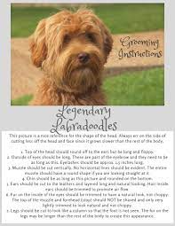 Maybe you would like to learn more about one of these? Grooming Guidelines For Your Australian Labradoodle