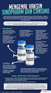 The cansino vaccine had been found to be about 75% effective against the coronavirus and 100% effective against serious disease. Infografik Mengenal Vaksin Sinopharm Dan Cansino