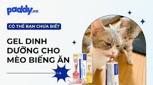 Top 5 gel dinh dưỡng tốt nhất dành cho mèo biếng ăn - Paddy – Paddy Pet Shop