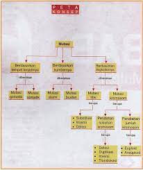 Penyebab mutasi sukar untuk diamati karenaâ€¦ *. Biologi Gonzaga Pertanyaan Seputar Mutasi