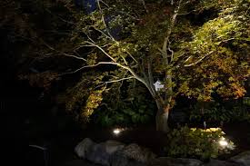 Landscape Accent Lighting Robidoux Landscaping