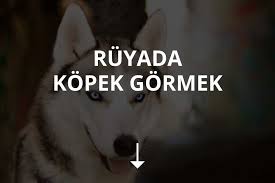 Ruyada Kopek Gormek Ne Anlama Gelir Instatakipci Com