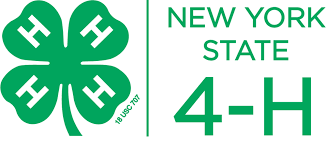 For boys and girls, kids and adults, teenagers and toddlers, preschoolers and older kids at school. Printable Materials New York State 4 H Youth Development