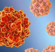 Canine Parvovirus Antigen