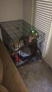 Funny cursed images 1080x1080 : 150 Cursed Images Ideas Cursed Images Cursing Image