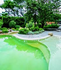 Eau Piscine Verte Cote Piscine