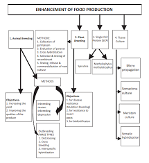Just choose a category and you will be given the option to download or view the files. Cbse Class 12 Biology Strategies For Enhancement In Food Production Concept Map