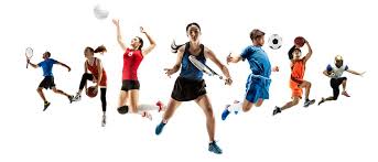 By vectortradition in sports activity. 6 502 Best Multi Sports Background Images Stock Photos Vectors Adobe Stock