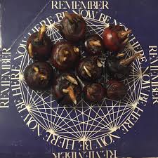 Image result for Eleocharis dulcis