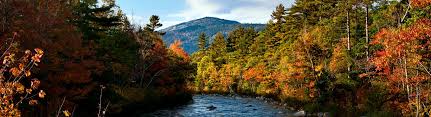 Image result for New England fall