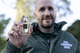 Zoo scents a way to keep gorillas happy in captivity