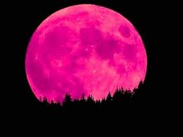 Ashtami, navami is performed for people in india can witness the super pink moon on the night of 7 april 2020 as on 8 april the super pink. Uae To See Pink Moon Supermoon On April 27 Uae Gulf News