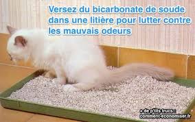 L Ingredient Magique Contre Les Odeurs De Litiere Le Bicarbonate Odeur Astuces Pour Chat Mauvaise Odeur