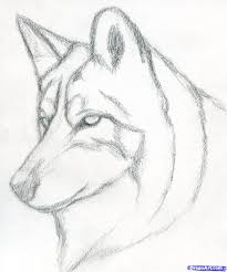 How To Draw A Wolf Head Mexican Wolf Step By Step Drawing Guide By Finalprodigy Wolf Drawing Easy Dog Drawing Simple Pencil Art Drawings