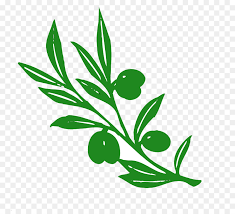 Download Olive Tree Drawing