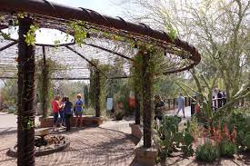 Vacation rentals in entrance to desert botanical garden. 13 Desert Botanical Garden Tips For Your Best Visit Possible Americanya