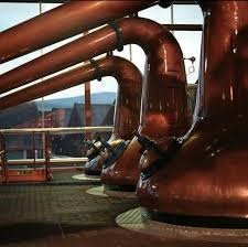 Stills At Macallan Whiskey Distillery Single Malt Single Malt Whiskey