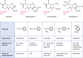 mechanisms of antibacterial drugs microbiology