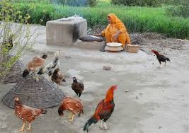 Image result for my village culture in punjab