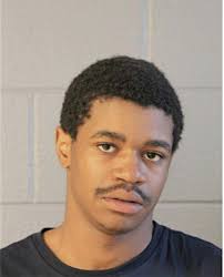 ᐅ Illinois Criminal Records 2009-2025