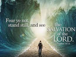 Check spelling or type a new query. Stand Still And See The Salvation Of The Lord Exodus 14 13 15 Seeking The Kingdom