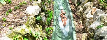 Image result for xenevu