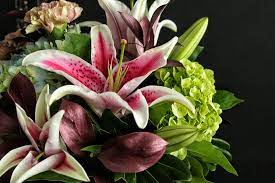Felly's flowers passionately makes all bouquets in 2020 wedding dress trends from local madison, wisconsin. Felly S Flowers Dyqan Lulesh Madison Wisconsin 3 938 Foto Facebook