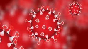 Daily charts, graphs, news and updates Koronavirus Fa Cvut