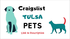The community section of craigslist.com is composed of 14 sub sections. Laurel Craigslist Pets
