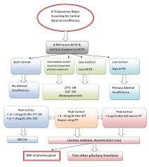 flow chart for screening and diagnosing adrenal