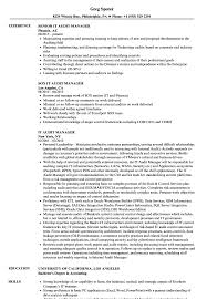 it audit manager resume samples