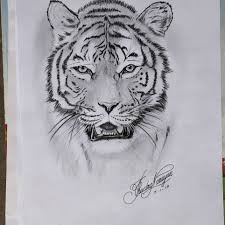This video tutorial is very much effective for beginners to draw a realistic looking tiger with their pencil on the paper. Rudra Art S I Ve Tried To Draw Realistic Tiger Facebook