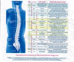 natural healing centre subluxations spinal misalignment