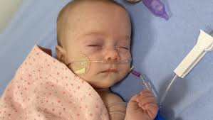 Fundraiser for Calyx Clifford by Brady Hollis : Clifford Family Donation