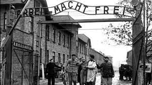 Raccontare Auschwitz Parola A Marco Senaldi Artribune