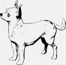 37+ dachshund coloring pages for printing and coloring. Chihuahua Puppy Coloring Book Pomeranian Dachshund Puppy Child Animals Png Pngegg