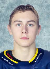 HV71 Jr. (Swe-Jr) Player Register at hockeydb.com