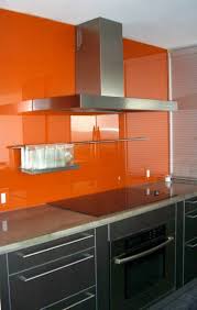 Kuchenruckwand Aus Glas Der Moderne Fliesenspiegel Sieht So Aus Kuchenruckwand Fliesenspiegel Kuche Schwarz