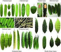 Image result for Momordica pterocarpa