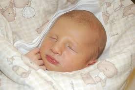 Fotogalerie: Miminka 51. týdne