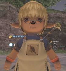 What this guide is not is a guide to crafting. Weaver S Apron Items Final Fantasy Xi Zam