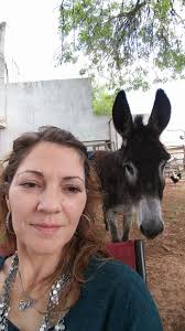 Lost dog found in Lynchburg