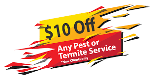 Join to listen to great radio shows, dj mix sets and podcasts. Best Pest Control Santa Barbara Get A Free Estimate
