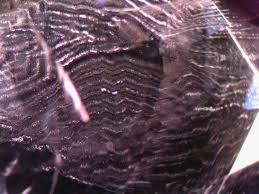 نتیجه جستجوی لغت [inclusions] در گوگل