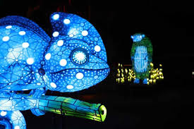 Art Installation Lights Up Sydney S Zoo In Pictures Installation Art Zoo Asian Elephant